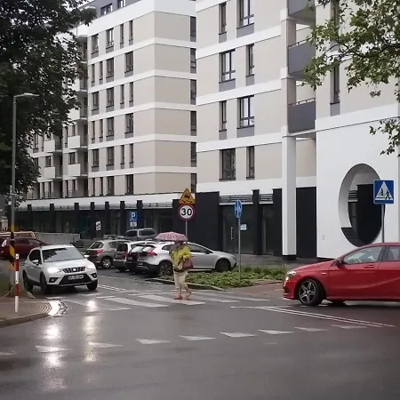 Szmaragdowy Platan